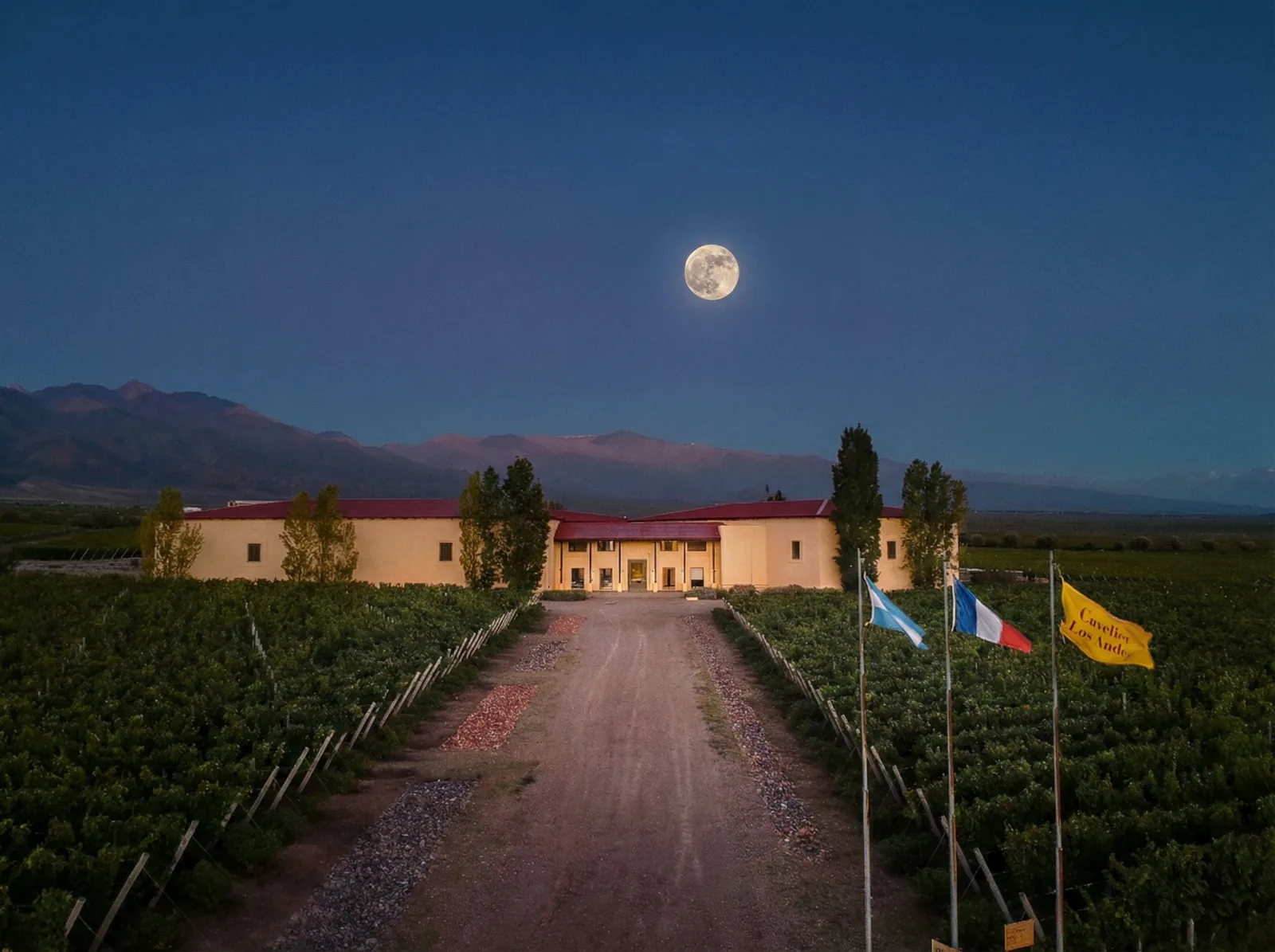 Cata a ciegas
