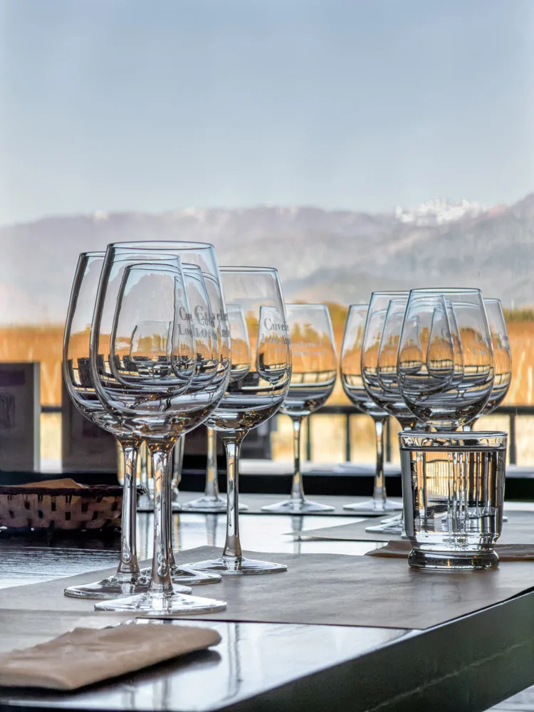 Cuvelier Tasting Experience